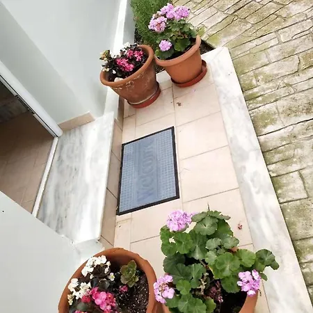 Court * Kalamaki (Zakynthos)